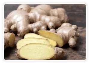 Himalayan Mountain Ginger - Citrus Burn Ingredient