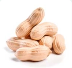 L-Arginine - NeuroQuiet Ingredients