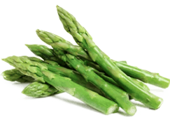 acetyl-l-carnitine - ALCAR - SciatiEase Ingredients