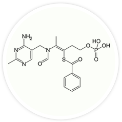 Benfotiamine - Neurogenica Ingredients