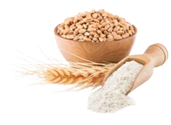 Benfotiamine - SciatiEase Ingredients