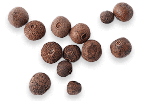 BioPerine - Joint Genesis Ingredients