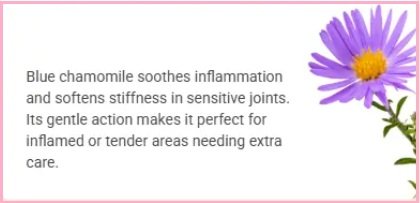 Blue Chamomile Extract - TheraWolf        Ingredients.