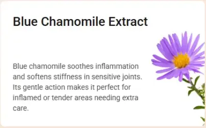 Blue Chamomile Extract - Therawolf ingredients.
