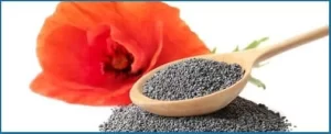 California Poppy Seed - Nerve Fresh Ingredients