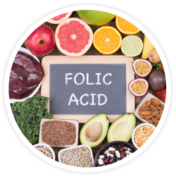 Folic Acid - Neurogenica Ingredients