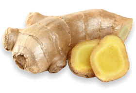Ginger Root - Joint Genesis Ingredients