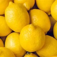Lemon Extract - Cerebrozen ingredients