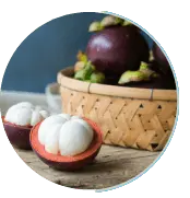 Mangosteen - Ignitra Ingridients