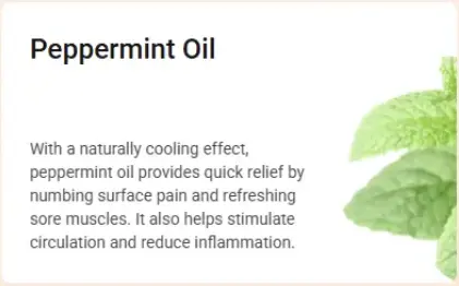 Peppermint oil - Therawolf ingredients