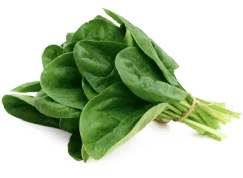 R-Alpha Lipoic Acid - R-ALA - SciatiEase Ingredients