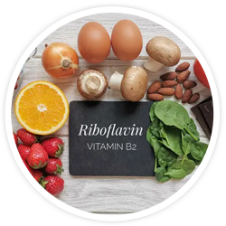 Riboflavin B2 - Neurogenica Ingredients
