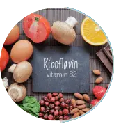 riboflavin - Ignitra Ingridients
