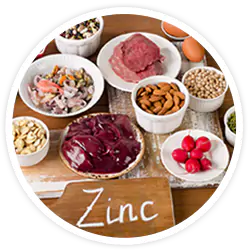 Zinc - Herpafend Ingredients