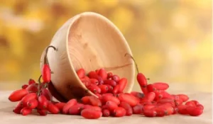 Berberine Extract - Purisaki Berberine Patches Ingredients - Berberine Extract - Purisaki Berberine Patches Official Website