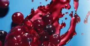 ProvaDent Ingredients – ProvaDent Official Website