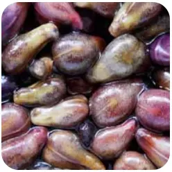 Grape Seed - Audifort Ingredients – Audifort Official Website