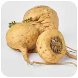 Maca-Root - Audifort Ingredients – Audifort Official Website