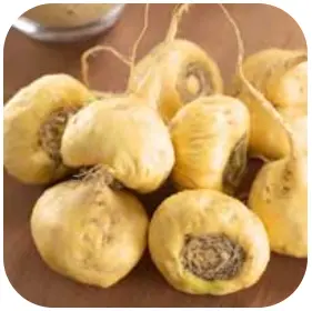 Maca Root - ZenCortex Ingredients – ZenCortex Official Website