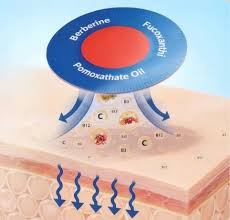 Purisaki Berberine - Weight Management