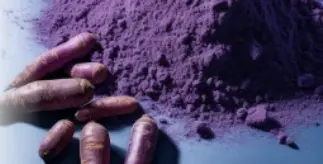 ProvaDent Ingredients – ProvaDent Official Website