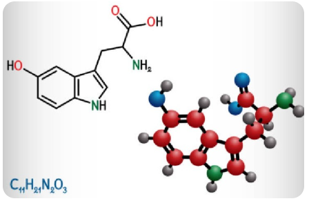 5 HTP - Yu Sleep Ingredients - Yu Sleep Official Website