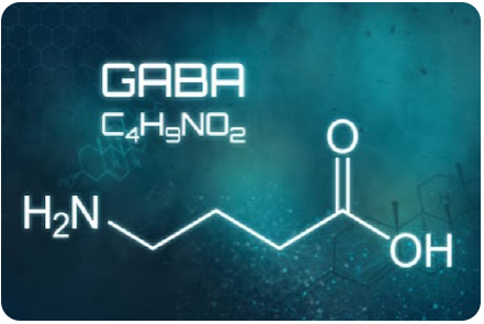 GABA - Yu Sleep Ingredients - Yu Sleep Official Website