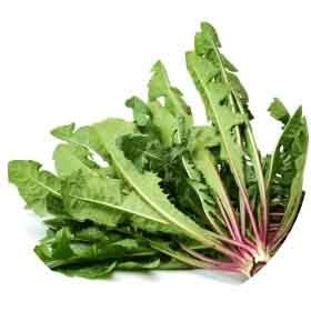Lulutox Ingredients - Dandelion Leaf - Lulutox Detox Tea Ingredients