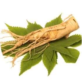 Lulutox Ingredients - Ginseng - Lulutox Detox Tea Ingredients