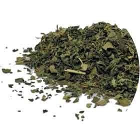 Lulutox Ingredients - Nettle Leaf - Lulutox Detox Tea Ingredients