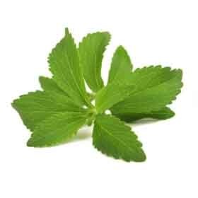 Lulutox Ingredients - Stevia Leaf - Lulutox Detox Tea Ingredients